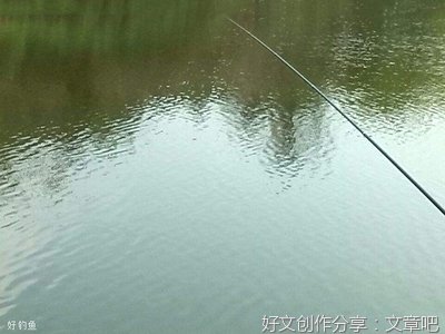 细雨天垂钓