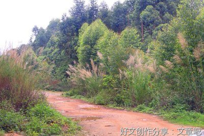 彼岸烟花