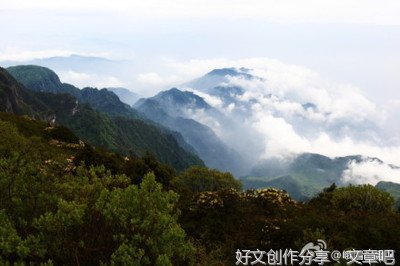 感悟东坪这片神奇的净土