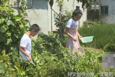 菜园子里的乐趣