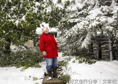 雪事纷飞