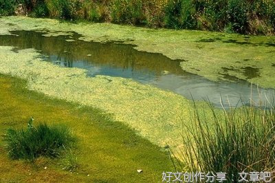 网，在生活中无处不在