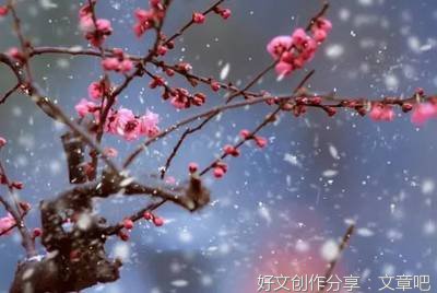 雪纷飞