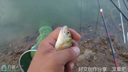 燕山水库印象