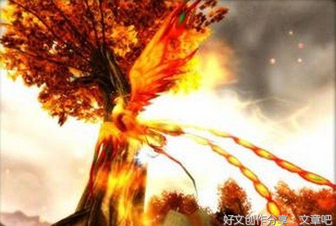 梧桐花开