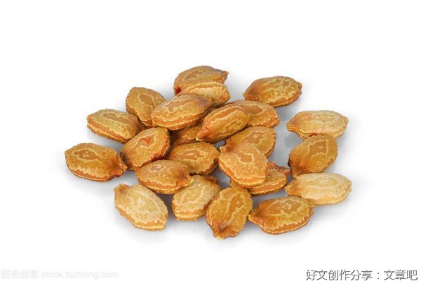 种子