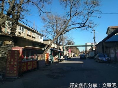 故乡情结