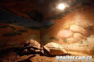 暖暖的火炕