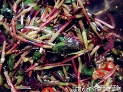 阳春三月庆佳节 人间春意暖芙蓉 （散文）
