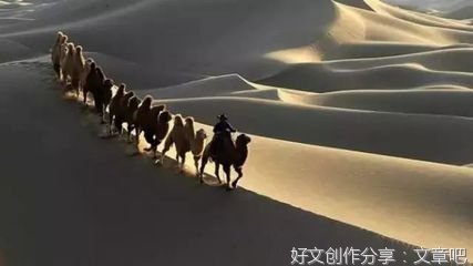 对不起，巴丹！