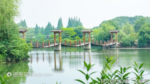 张树业我和春天有个约会