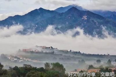申晓花：久违的雨