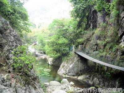 又 见 紫 藤 花