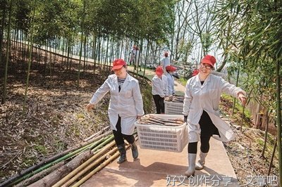 唐鹏：我和《湘煤家国情》