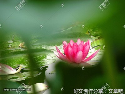 齐凤池：妓女马莲花的故事