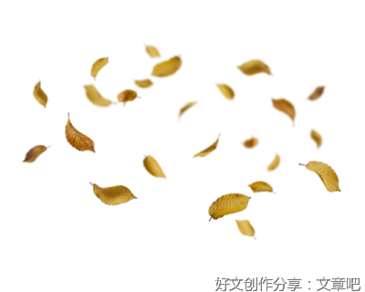 胡贵均：看蝶纷飞
