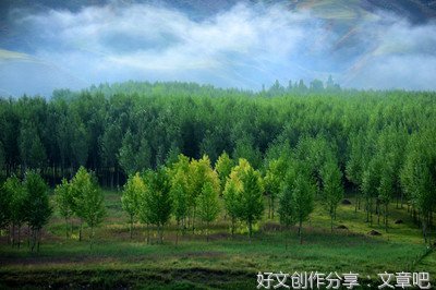 朱兴文：选择的路途很遥远，我坚持走到终点
