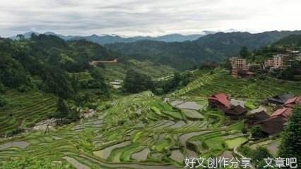 杨华：春游元宝山
