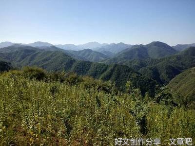 李胜会：乡村庙会