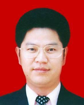 刘 辉：家乡柳