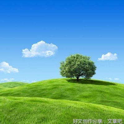 马晓东：情，弥漫在七月的草原