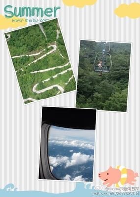 吕丽敏：我爱向日葵