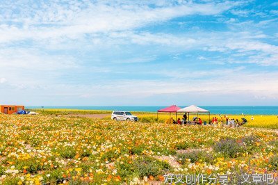 曹新友：青海看湖
