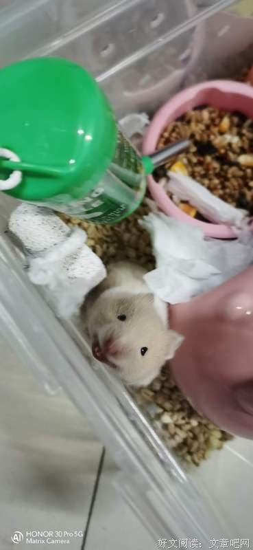 爱，其实真的很简单