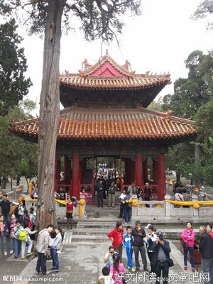 杏坛首会挂榜岭，生态振兴勇助力