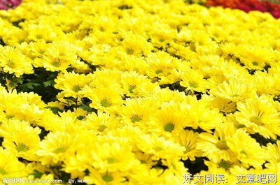 官非 反馈