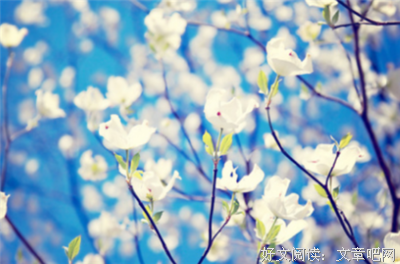 幸福，对和错都已成过去