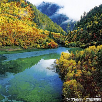 大自然每个季节里