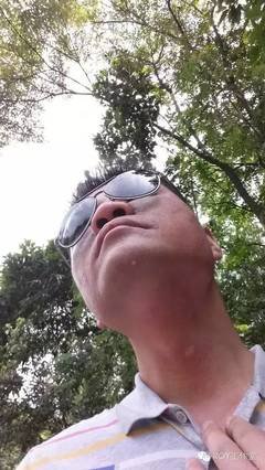 那个年代