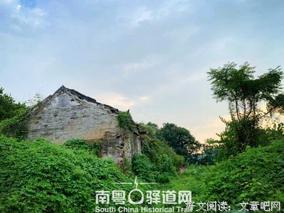岭南学子把爱带进三下乡课堂