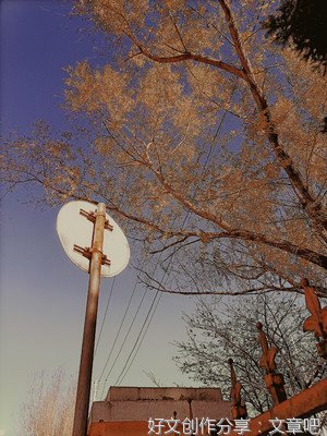 秋天，是一个思念的季节