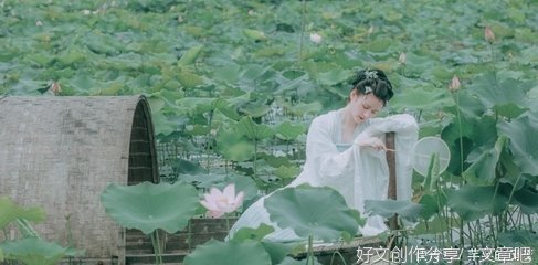 人品越差的女人，越喜欢用这些图片做微信头像，请小心提防！