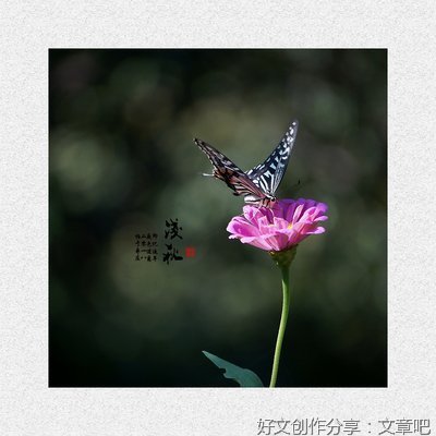唯美浅秋