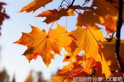 清欢，是生命低调的奢华