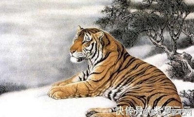 多年之后，渐渐懂得