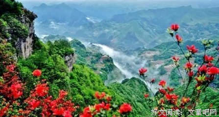 轮回，太美了