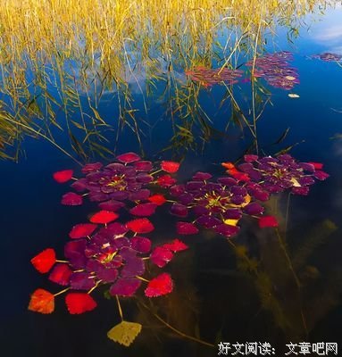到了一定年纪，就不想取悦谁了