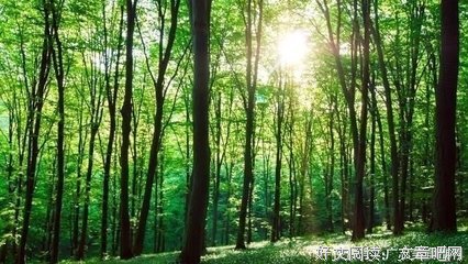 人和人之间最舒服的关系，是......
