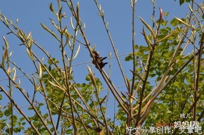夏去秋来，愿你安好