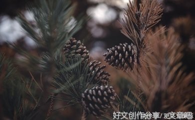 失而复得的 已不是爱情