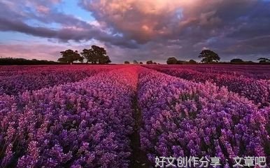 世上最凄美的情书