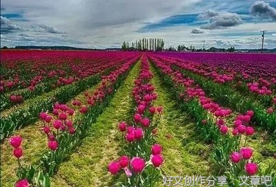 余生，愿你有一个好心态
