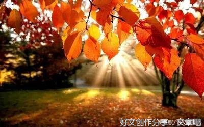 爱在枫叶如霞的晚秋