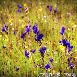 让开心成为一种习惯