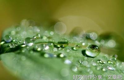 人生实苦，唯有自渡