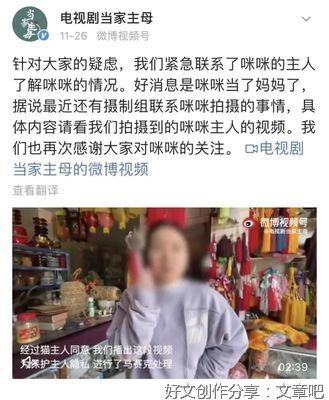 我的猫目击了我的死亡